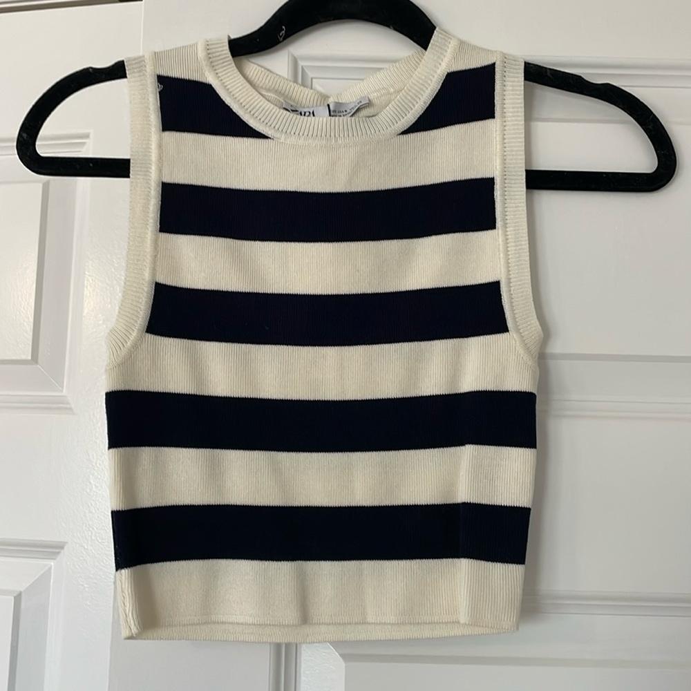 Zara Striped Crop Top